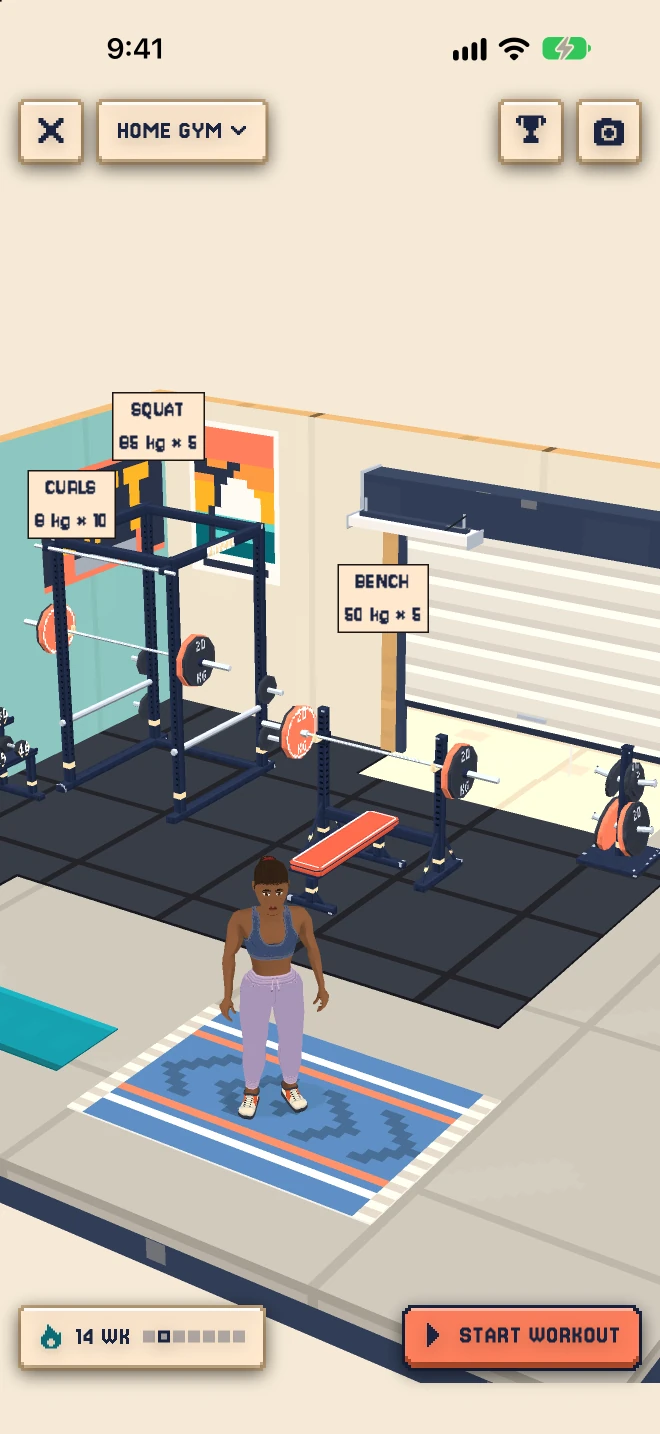 My Gym in the garage, with plaques showing your best sets
