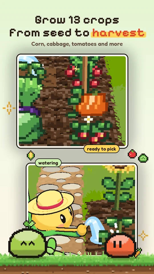 Grow 13 crops from seed to harvest