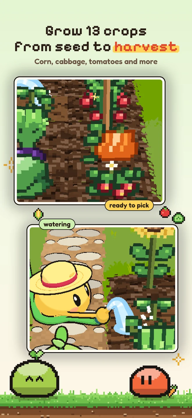 Grow 13 crops from seed to harvest