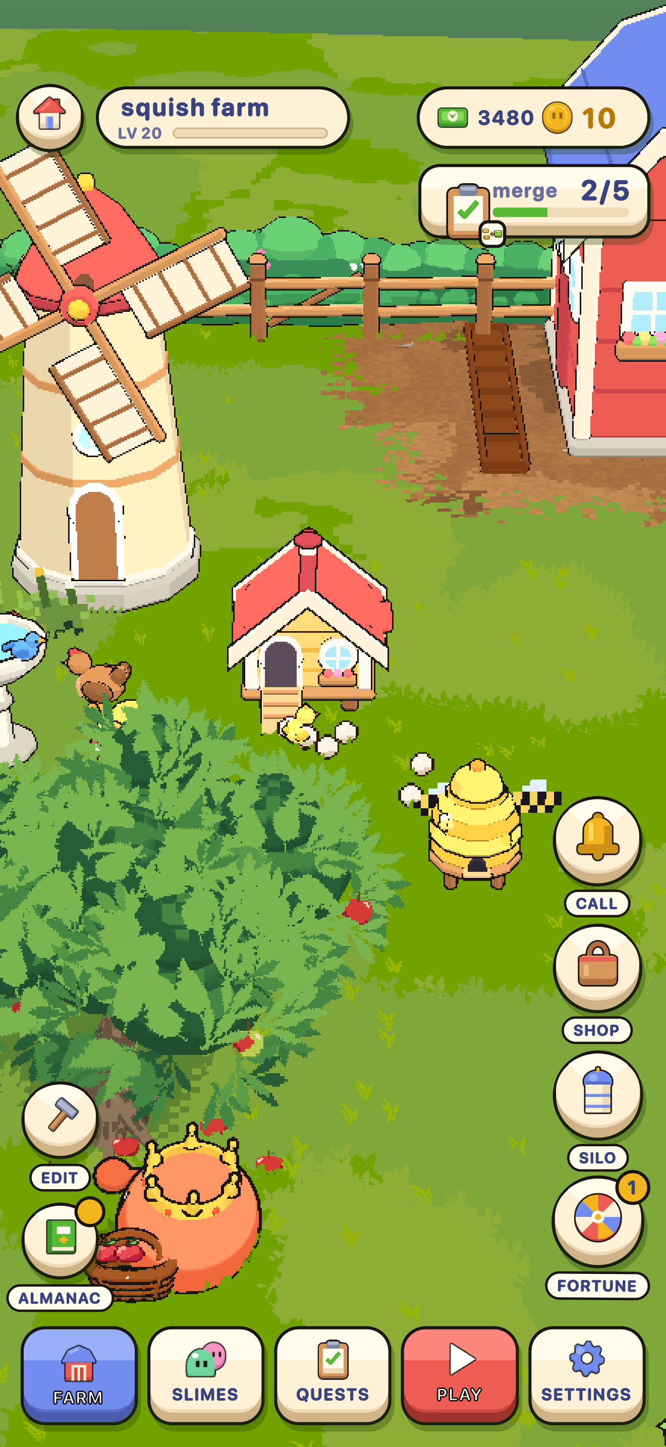 Hens on the meadow