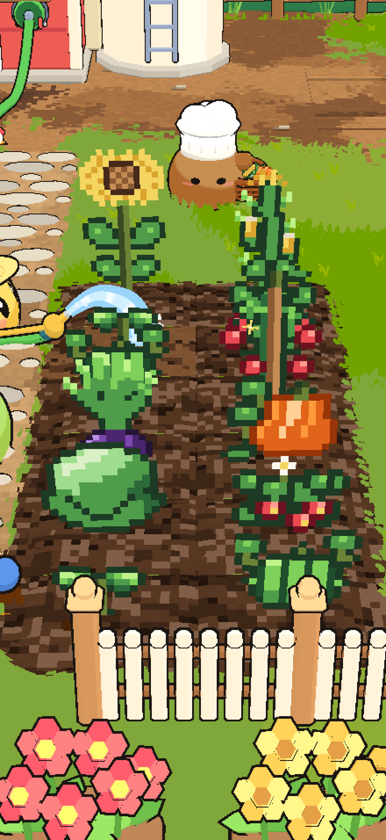 Ripe crops ready to pick