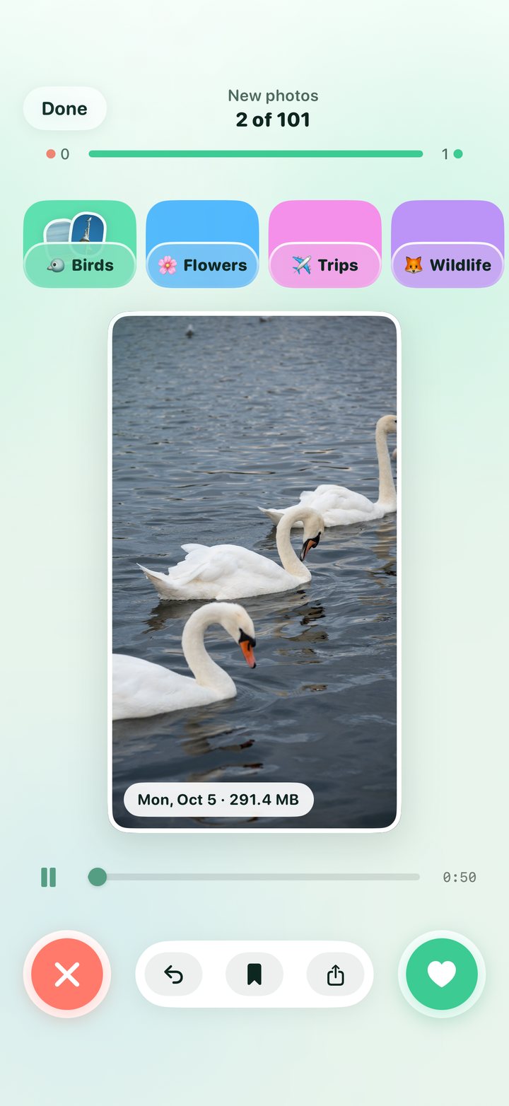Sorting a photo of swans with album pockets above it