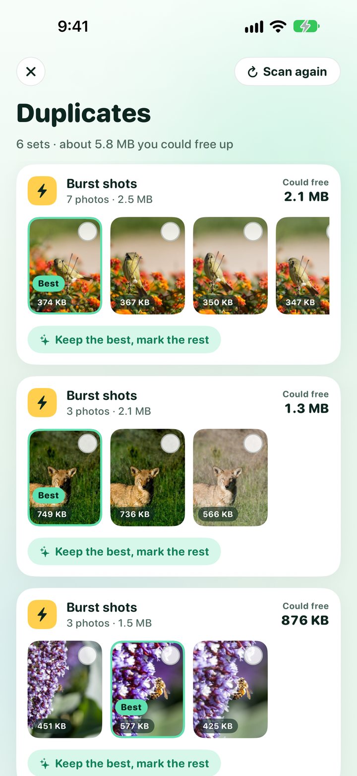 Duplicates: sets of burst shots with the best photo marked and how much each set could free
