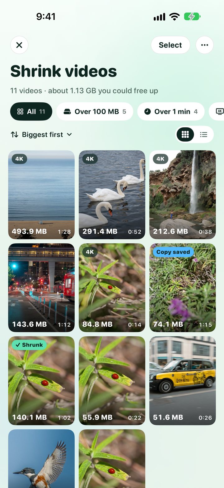 Shrink videos: a grid of videos with their sizes and filters for big videos