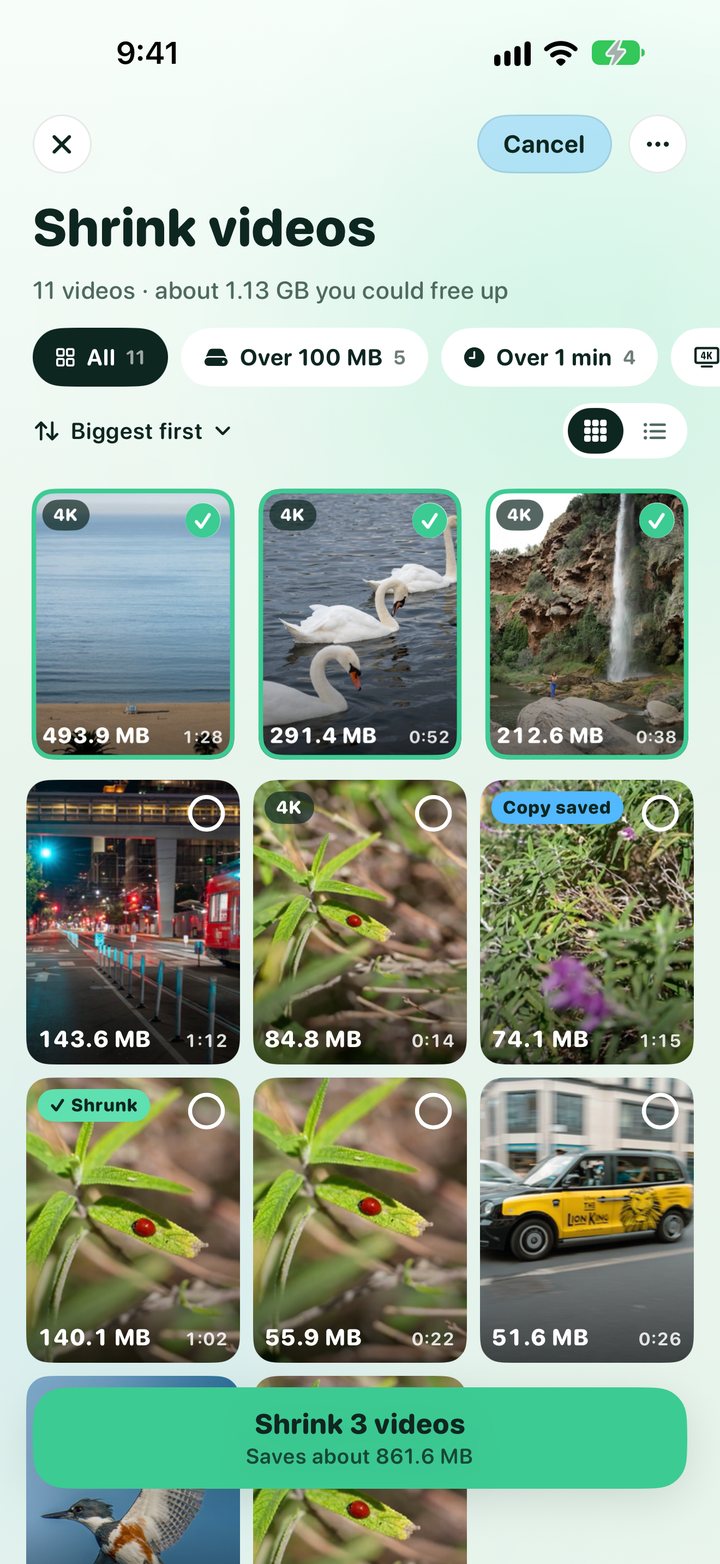 Selecting videos to shrink