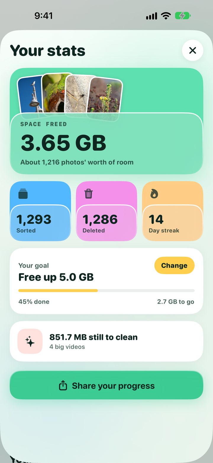 Your stats: 3.65 GB space freed, 1,293 sorted, 1,286 deleted, a 14 day streak and a goal to free up 5 GB
