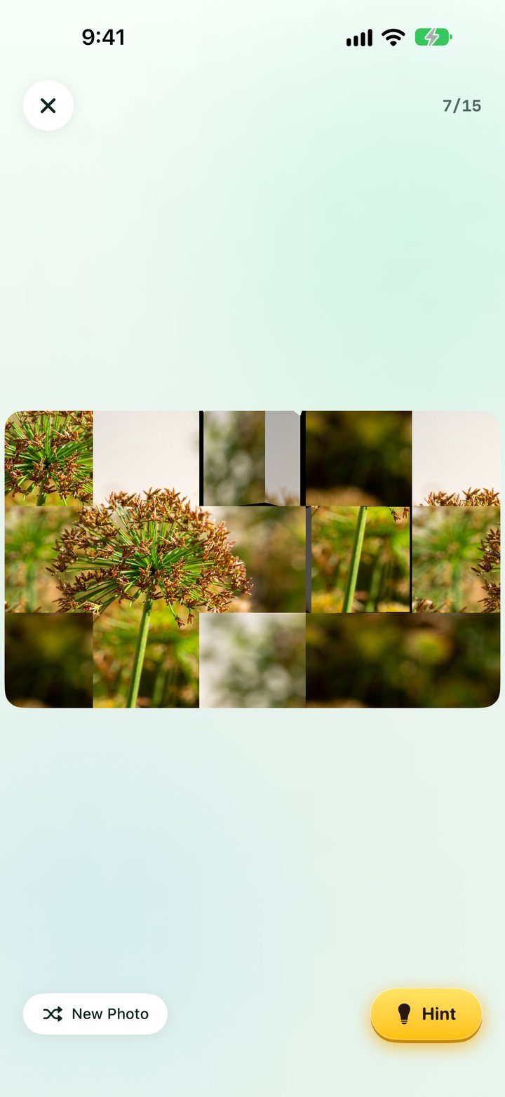 Photo Puzzle