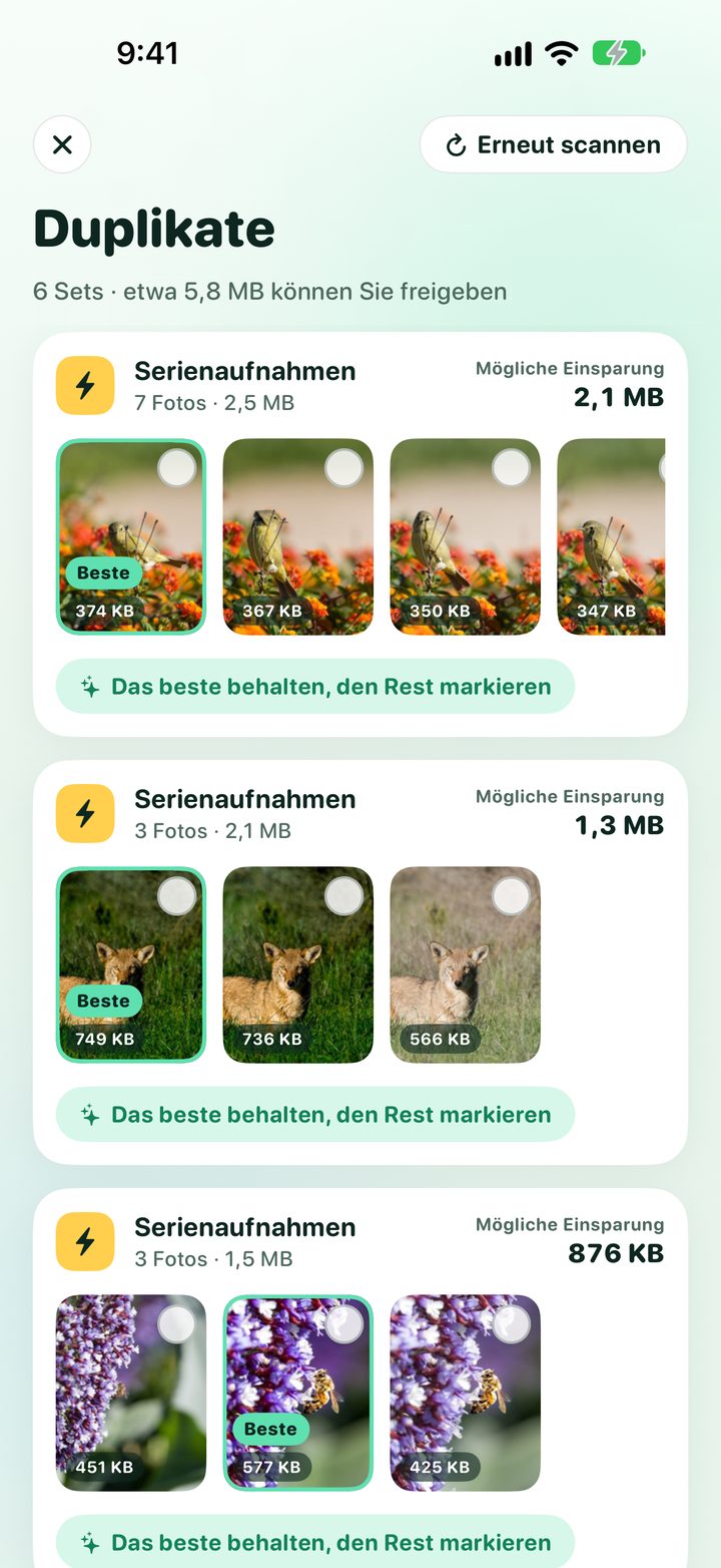 Duplikate: Serienaufnahmen mit markiertem bestem Foto und der möglichen Speicherersparnis jeder Gruppe