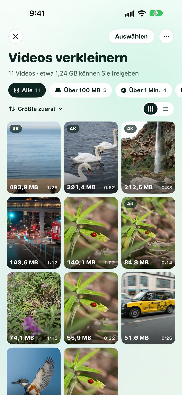 Videos verkleinern: eine Videorasteransicht mit Größen und Filtern für große Videos
