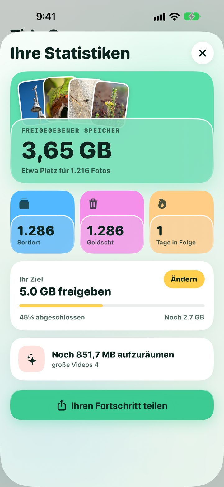 Deine Statistik: freigegebener Speicher, sortierte und gelöschte Fotos, aufeinanderfolgende Aufräumtage und Speicherziel