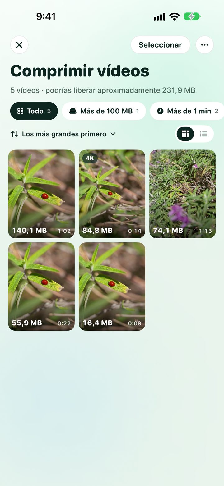 Comprimir vídeos: una cuadrícula de vídeos con sus tamaños y filtros para vídeos grandes