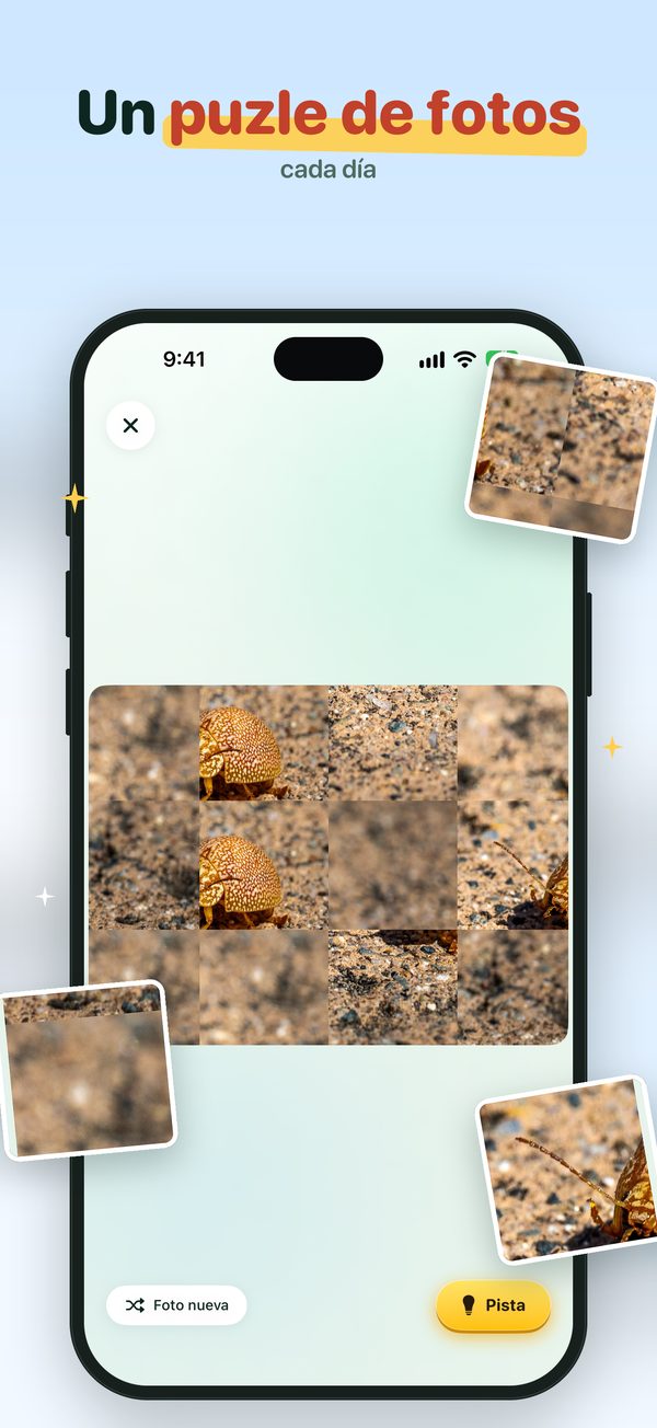 Un rompecabezas de fotos cada día