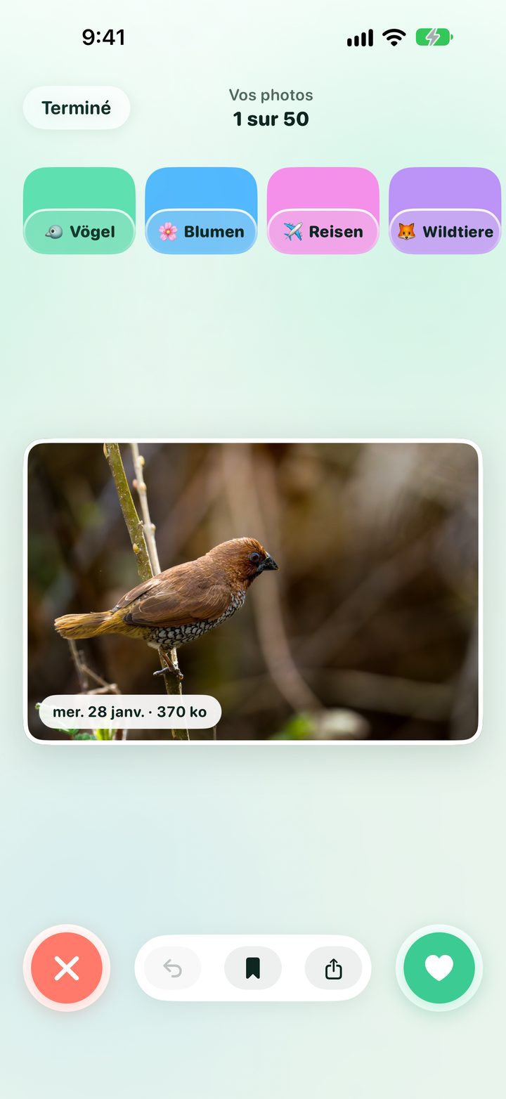 Écran de tri des photos de Tidy Cam avec les gestes de balayage et les albums