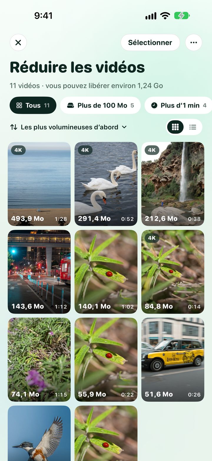 Réduire les vidéos : grille de vidéos avec leurs tailles et filtres pour les grandes vidéos