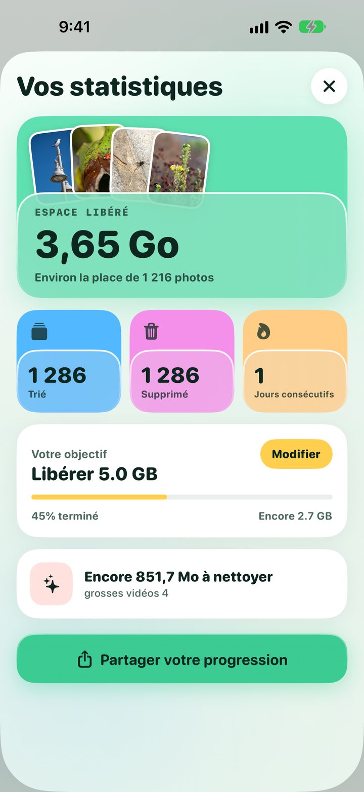 Vos statistiques : espace libéré, photos triées et supprimées, série de jours et objectif de libérer 5 Go